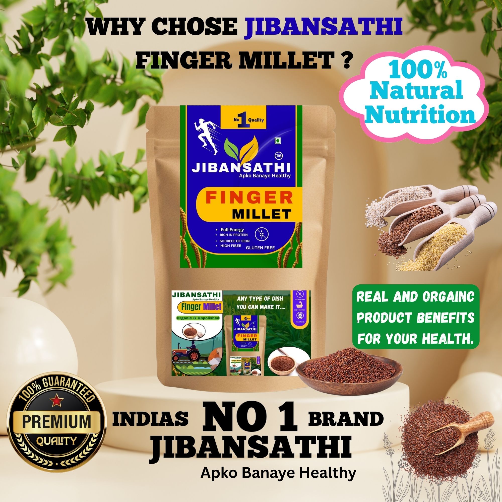 Finger Millet Raw Health Benefit Millet Ragi Millet - Image 2